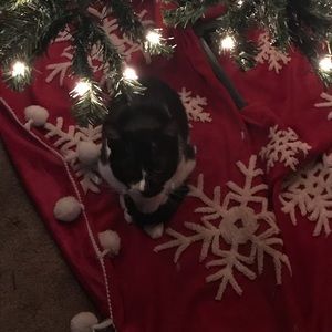 Meet your Posher, Jake